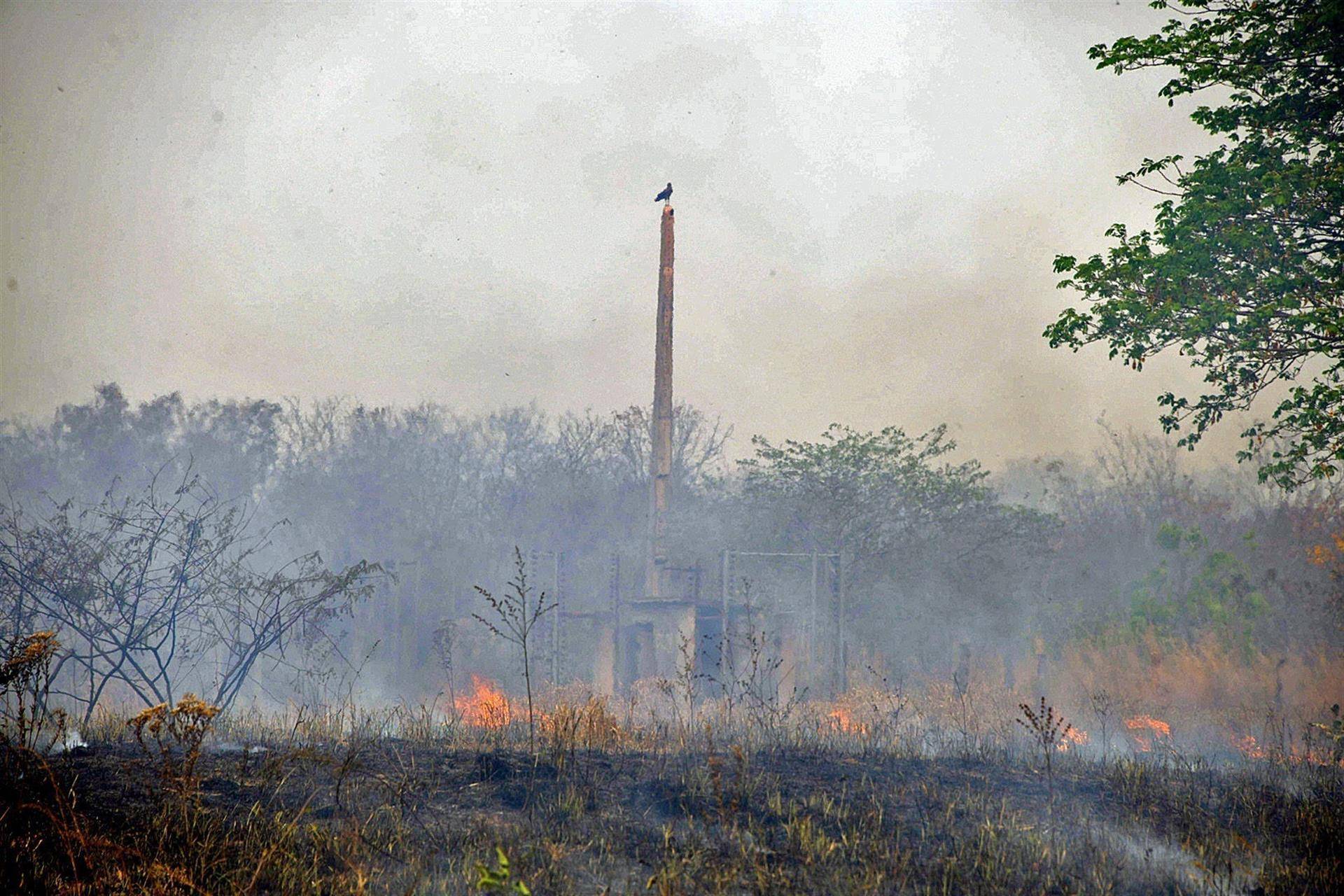 Amazonía brasileña sufre en junio sus peores incendios en 14 años