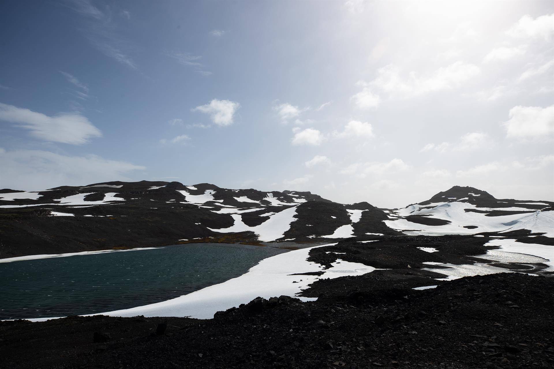 Rocas en la zona costera de la Antártica registraron temperaturas de 34°C en enero