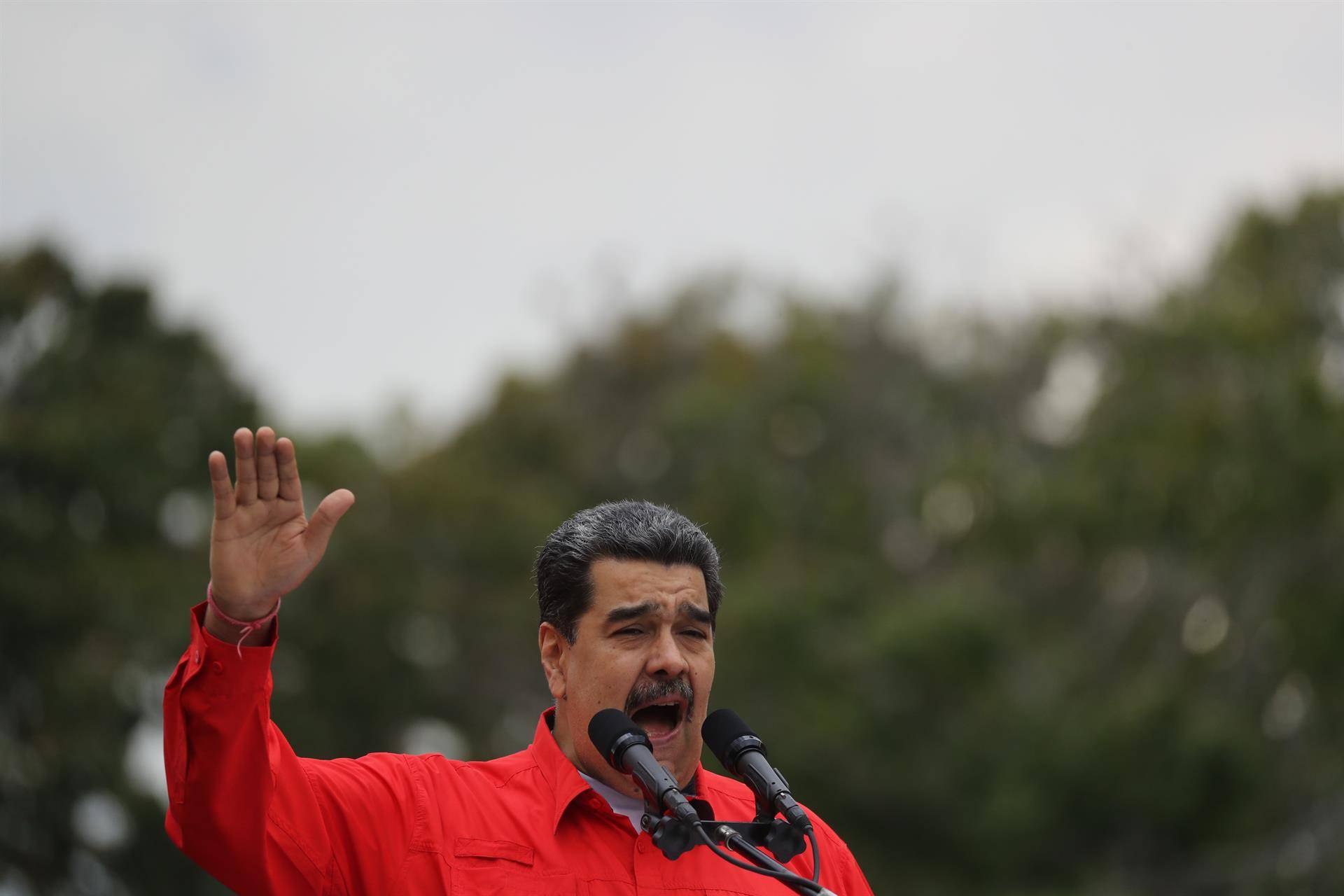 Maduro llama a impulsar la siembra de árboles para lograr una 