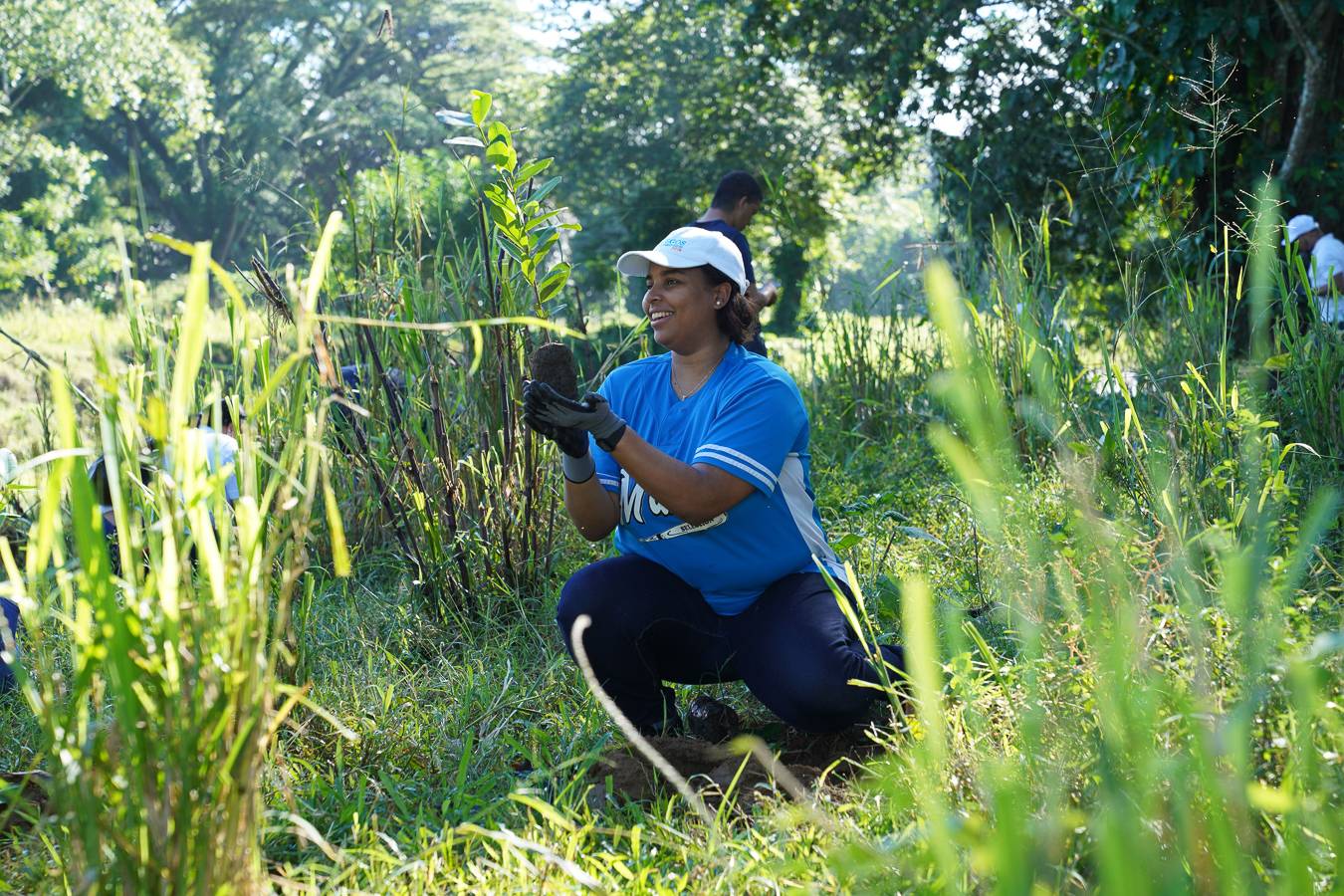 Voluntariado Bancentraliano realiza su 17ª jornada de reforestación en colaboración con el Medioambiente